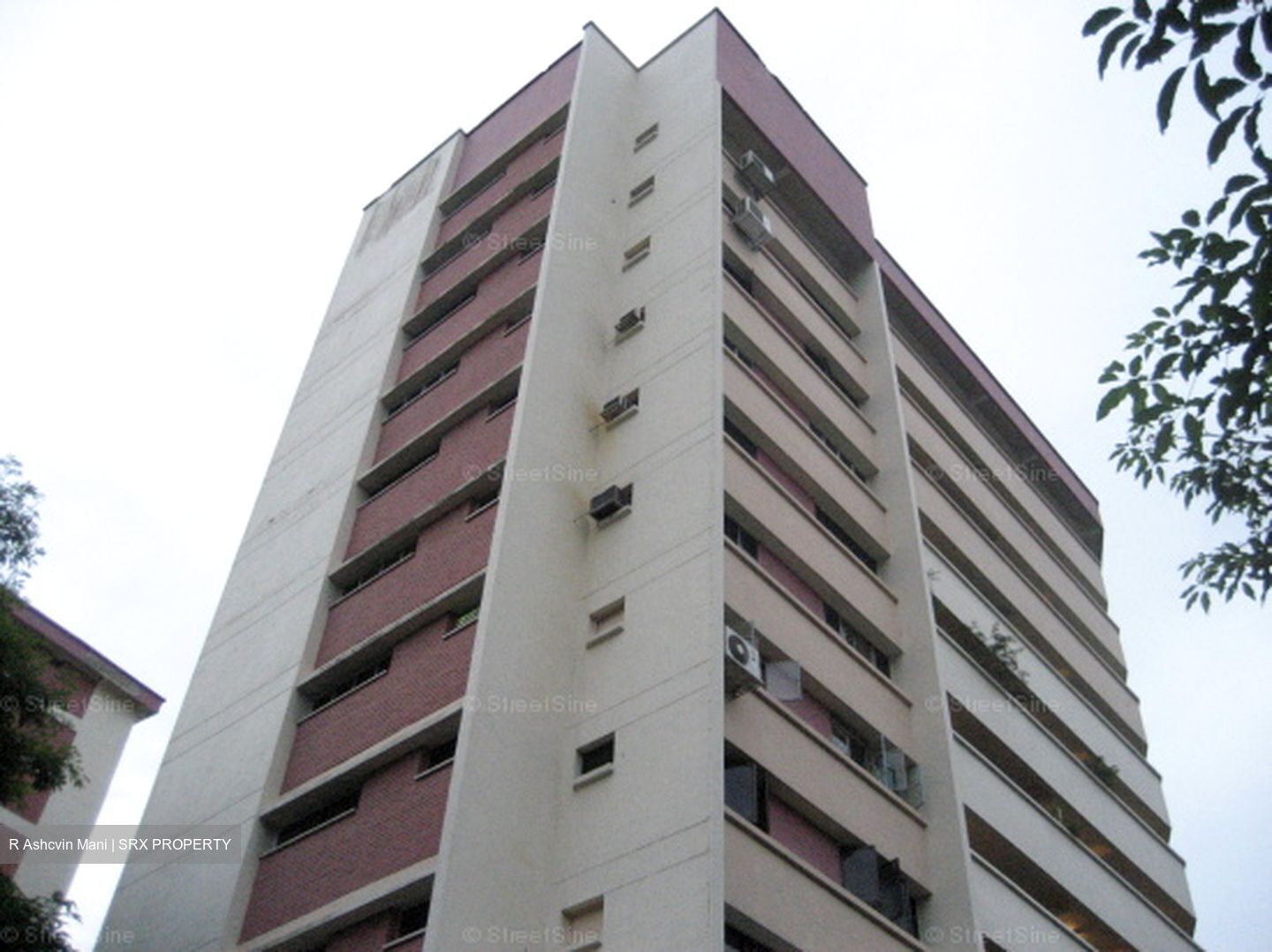Blk 50 Chai Chee Gardens (Bedok), HDB 3 Rooms #638124651